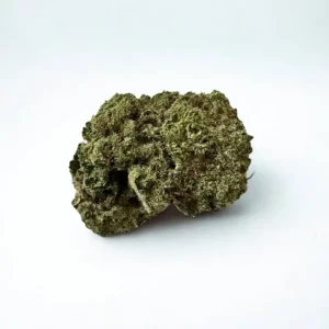 PURPLE PUNCH PAPAYA